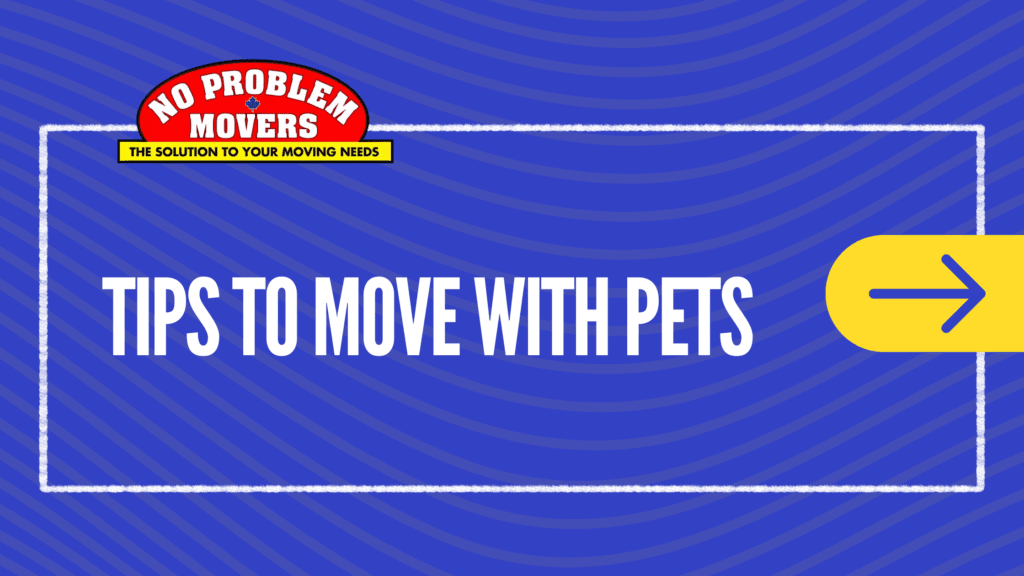 tips to move with pets blog banner